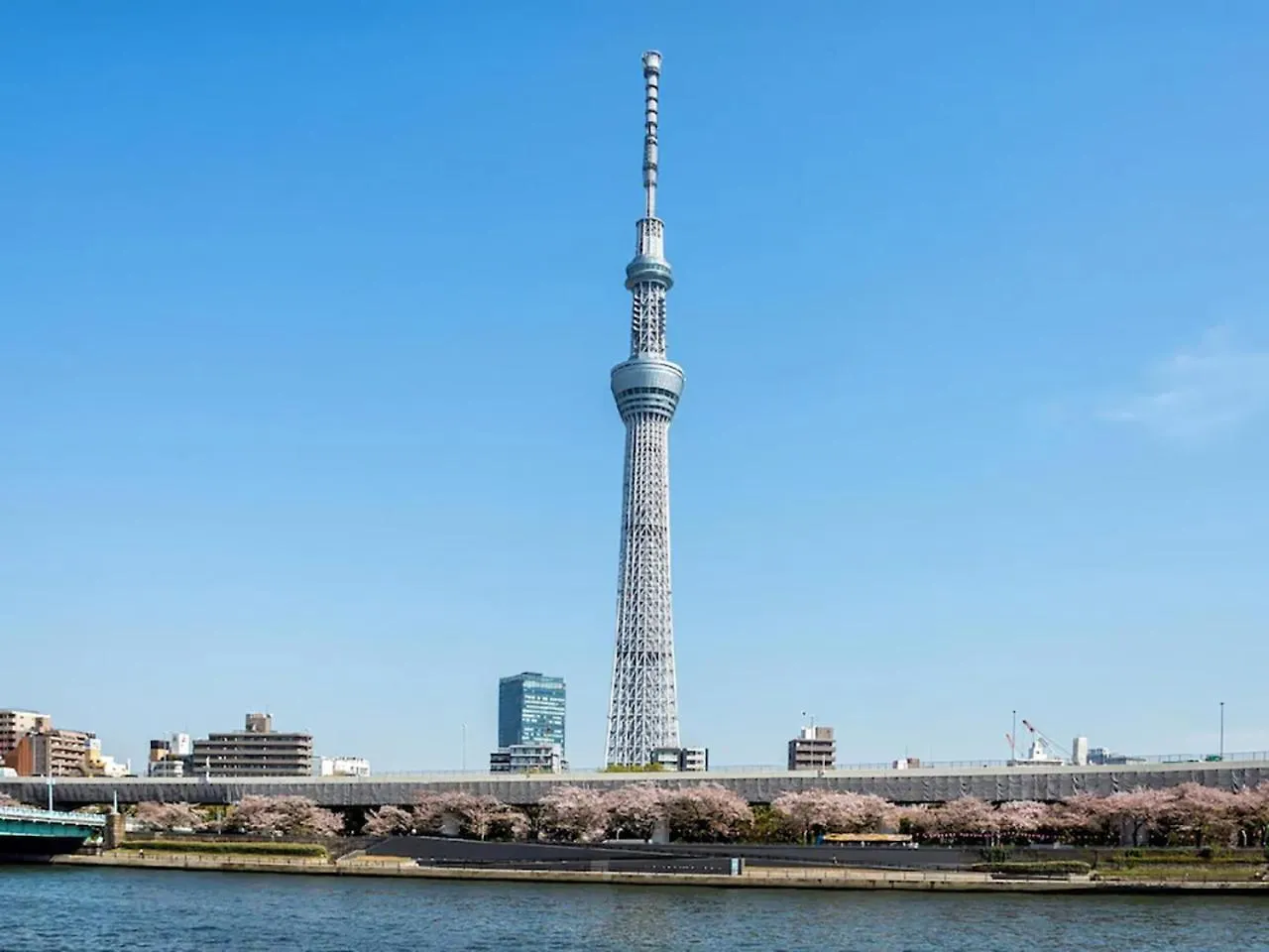 Anshin Oyado Shinbashi Ekimaeten Tokyo Japan